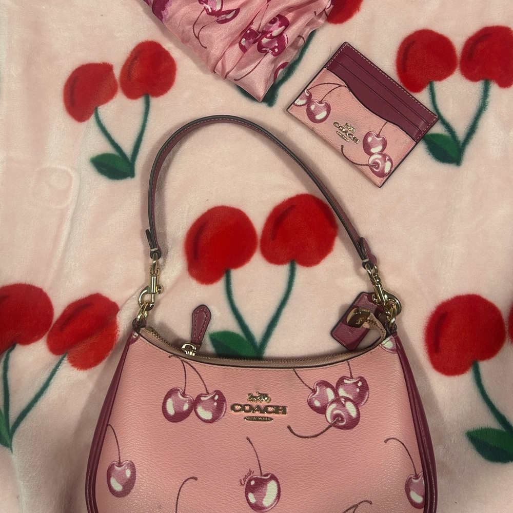🍒 Limited Edition COACH Cherry bag Bundle 🍒
